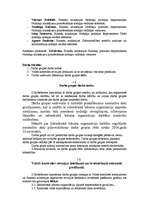 Paraugs 'Lietišķie raksti', 8.