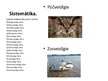 Prezentācija 'Putni', 2.