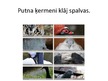 Prezentācija 'Putni', 4.