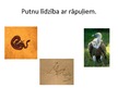 Prezentācija 'Putni', 5.