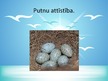 Prezentācija 'Putni', 9.