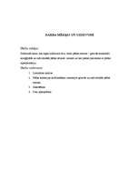 Referāts 'Hiperpronācijas novēršana, izmantojot dažādas pēdu ortozes', 6.