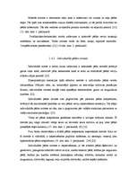 Referāts 'Hiperpronācijas novēršana, izmantojot dažādas pēdu ortozes', 18.