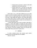 Referāts 'Hiperpronācijas novēršana, izmantojot dažādas pēdu ortozes', 21.