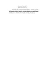 Referāts 'Hiperpronācijas novēršana, izmantojot dažādas pēdu ortozes', 29.