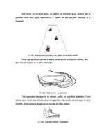 Referāts 'Hiperpronācijas novēršana, izmantojot dažādas pēdu ortozes', 38.