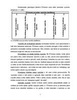 Diplomdarbs 'Interneta ietekme uz jauniešu personības vajadzību veidošanos', 7.