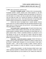 Diplomdarbs 'Interneta ietekme uz jauniešu personības vajadzību veidošanos', 9.