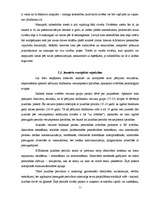 Diplomdarbs 'Interneta ietekme uz jauniešu personības vajadzību veidošanos', 11.