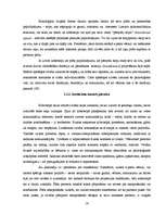 Diplomdarbs 'Interneta ietekme uz jauniešu personības vajadzību veidošanos', 16.