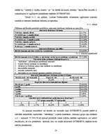 Diplomdarbs 'Interneta ietekme uz jauniešu personības vajadzību veidošanos', 28.