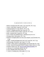 Diplomdarbs 'Interneta ietekme uz jauniešu personības vajadzību veidošanos', 35.