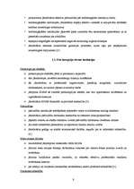 Referāts 'Korupcija', 9.