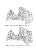 Paraugs 'Praktiskie darbi studiju kursā "Hidroenerģētika"', 7.