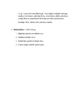 Konspekts 'Politiskie procesi Eiropā', 5.