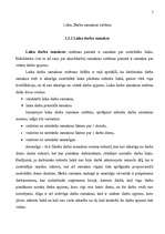 Referāts 'Darba samaksa uzņēmumā', 5.