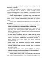 Referāts 'Satiksmes "nomierināšanas" inženiertehniskie risinājumi', 6.