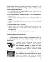 Referāts 'Satiksmes "nomierināšanas" inženiertehniskie risinājumi', 7.