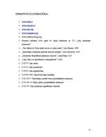 Referāts 'Satiksmes "nomierināšanas" inženiertehniskie risinājumi', 12.