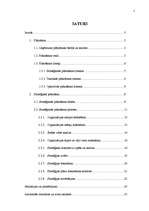 Referāts 'Stratēģiskās plānošanas process uzņēmumā', 2.