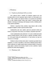 Referāts 'Stratēģiskās plānošanas process uzņēmumā', 5.