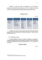 Referāts 'Stratēģiskās plānošanas process uzņēmumā', 6.