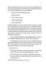 Referāts 'Stratēģiskās plānošanas process uzņēmumā', 11.