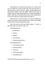 Referāts 'Stratēģiskās plānošanas process uzņēmumā', 16.