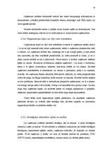 Referāts 'Stratēģiskās plānošanas process uzņēmumā', 18.