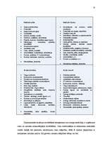 Referāts 'Stratēģiskās plānošanas process uzņēmumā', 20.