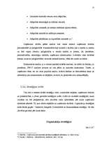 Referāts 'Stratēģiskās plānošanas process uzņēmumā', 21.