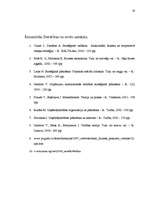 Referāts 'Stratēģiskās plānošanas process uzņēmumā', 28.