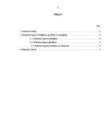 Referāts 'Koncerni un to līgumu noslēgšana, grozīšana un izbeigšana', 2.