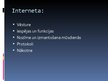 Prezentācija 'Internets un tā vēsture', 3.