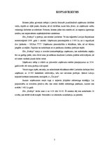 Biznesa plāns 'Biznesa plāns "Picērija"', 3.