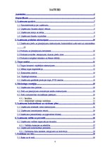 Biznesa plāns 'Biznesa plāns "Picērija"', 4.