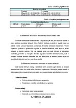 Biznesa plāns 'Biznesa plāns "Picērija"', 11.