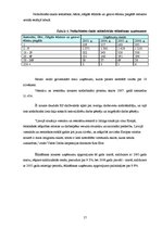 Biznesa plāns 'Biznesa plāns "Picērija"', 17.