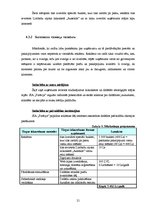 Biznesa plāns 'Biznesa plāns "Picērija"', 21.