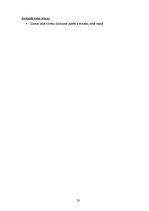 Biznesa plāns 'Biznesa plāns "Picērija"', 23.