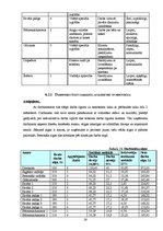 Biznesa plāns 'Biznesa plāns "Picērija"', 28.