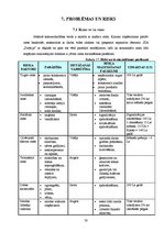 Biznesa plāns 'Biznesa plāns "Picērija"', 30.