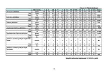 Biznesa plāns 'Biznesa plāns "Picērija"', 32.