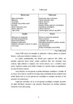 Biznesa plāns 'Kafejnīcas biznesa plāns', 9.