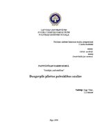 Referāts 'Daugavpils pilsētas pašvaldības analīze', 1.