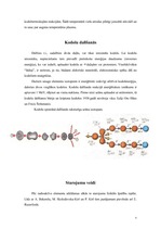 Referāts 'Kodolfizika', 6.
