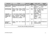 Referāts 'Eksporta veicināšanas programmas rīcības plāns 2007.gadam', 11.