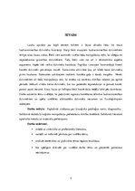 Referāts 'Mazo lauksaimniecības dzīvnieku kastrācija', 3.