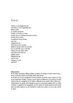 Referāts 'Māras Zālītes dzejoļu analīze', 6.