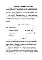 Referāts 'Krāsu spēks', 5.